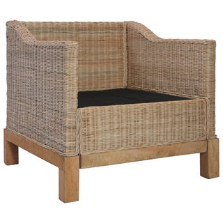 Fauteuil Met Kussens Natuurlijk Rattan