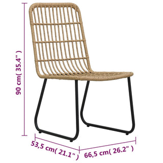 Tuinstoelen 2 Stuks Poly Rattan Kleurig