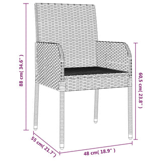 Tuinstoelen Met Kussens Poly Rattan